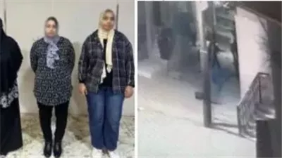 مشاجرة ميراث .. كشف ملابسات فيديو «سيدة تستغيث» في كفر الشيخ
