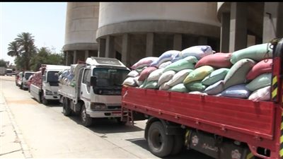  توريد 57 ألف طن قمح وتجهيز 15 موقعاً تخزينياً لاستيعاب 199 ألف فدان بسوهاج