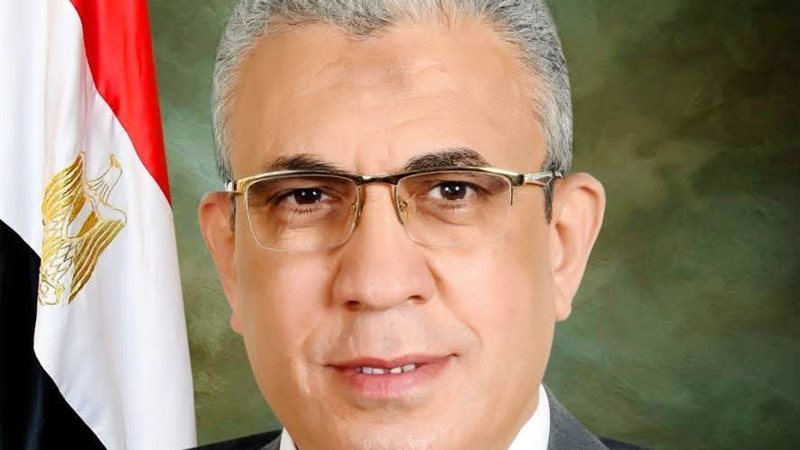 النائب عادل عبد الفضيل 