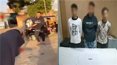 التحقيقات تكشف تفاصيل واقعة مضايقة فتاة والتعدي على شقيقها بالجيزة