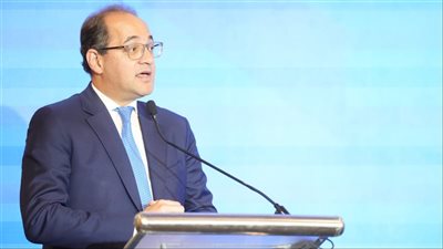 وزير المالية: حزمة التسهيلات الضريبية والجمركية أمام النواب خلال أسابيع