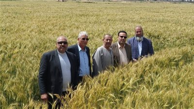 الزراعة في أسبوع.. إزالة 27 حالة تعدي وندوات إرشادية وأيام حقلية وتطهير المساقي