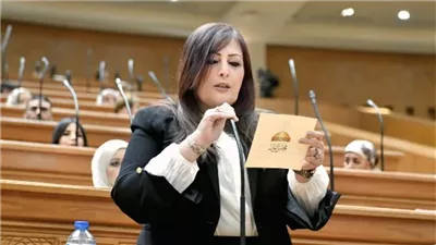 إليزابيث شاكر: الاتصال بين السيسي وبن زايد يؤكد شراكة أمنية مصرية إماراتية
