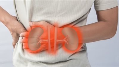 «100 مليون صحة»: خطوة بسيطة اليوم تحميك من الفشل الكلوي غدًا