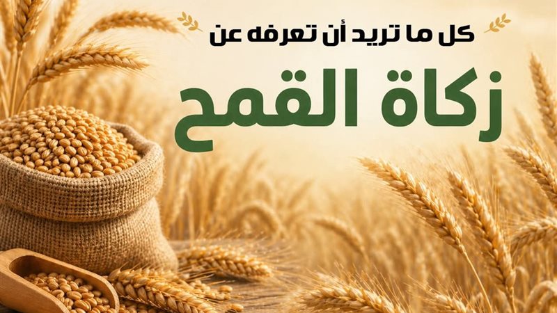 زكاة القمح