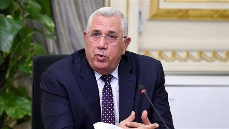 السيد القصير، الأمين العام لحزب الجبهة الوطنية 