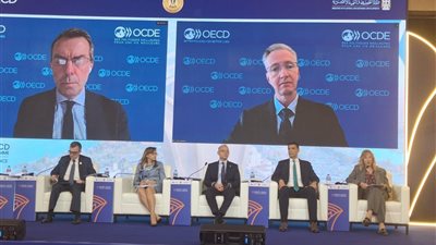 وزارة الاتصالات تشارك في ختام البرنامج القُطري بين مصر ومنظمة OECD