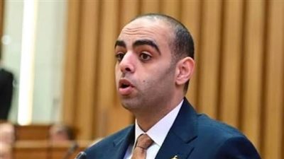 نائب: الاعتداء على الإمارات تهديد للأمن القومي العربي ومصر تؤكد دعمها الكامل