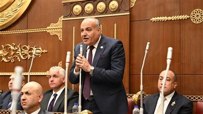 برلماني: اتصال السيسي وبن زايد يؤكد عمق الشراكة المصرية الإماراتية