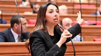 نشوى الشريف تطالب بإعادة مناقشة تعديلات قانون التأمينات والمعاشات