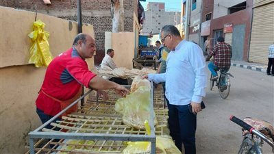 محافظ الدقهلية يتابع جهود التموين.. تحرير 338 مخالفة وضبط 5 آلاف لتر بنزين