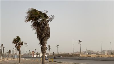 حالة الطقس : ارتفاع درجات الحرارة مع شبورة مائية اليوم السبت 