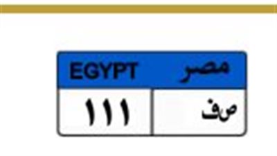 صراع بين شخصين يرفع لوحة «ص ف 111» إلى 600 ألف جنيه