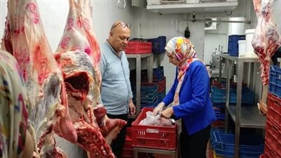 تشميع 31 منشأة وتحرير عشرات المحاضر خلال حملات مكبرة بالمنيا وملوي