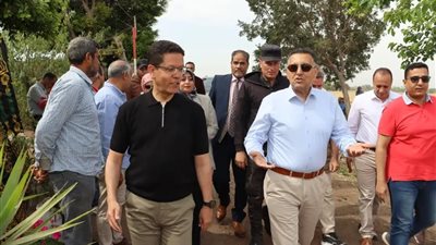محافظ القليوبية ورئيس جامعة بنها يفتتحان موسم حصاد القمح بكلية الزراعة بمشتهر