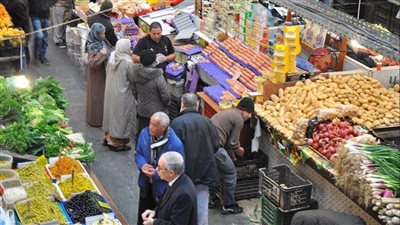  انفراجة مرتقبة.. شعبة الدواجن تزف بشرى سارة للمواطنين 