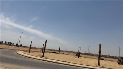 الشروق تتزين بالأخضر بزراعة 6000 شجرة و100 نخلة تطوير شامل للمدينة