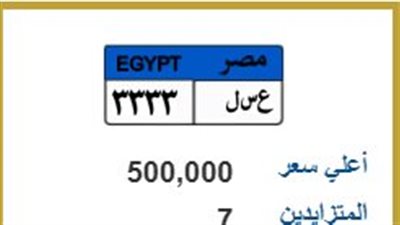 بمشاركة 7 أشخاص.. مزاد اللوحة المعدنية 