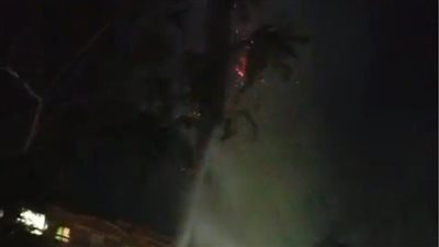 الحماية المدنية تسيطر على حريق بحديقة دار العلوم بالسيدة زينب
