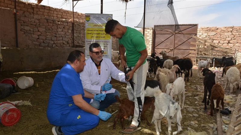 مركز بحوث الصحراء 