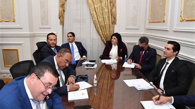 صناعة الشيوخ تناقش أزمات التمويل متناهي الصغر وتأثيرها على الأسرة