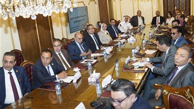الجبهة الوطنية يضع آليات جديدة لتعزيز أداء نوابه التشريعي بالشيوخ