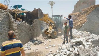 إزالة 29 حالة تعدي على أراضي الدولة والزراعة والمتغيرات المكانية بأسيوط