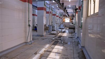 محافظ سوهاج تيسير الذبح المجاني بالمجازر الحكومية للأهالي خلال أيام العيد