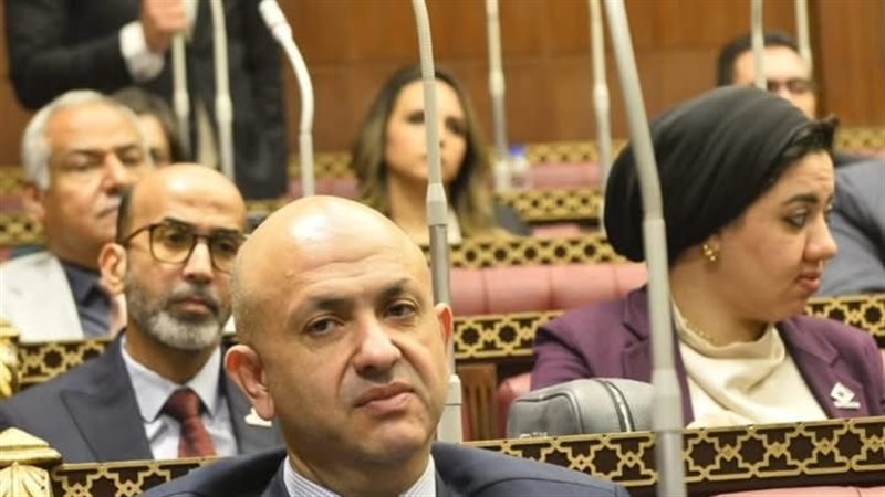 مصطفى الشبراوي 