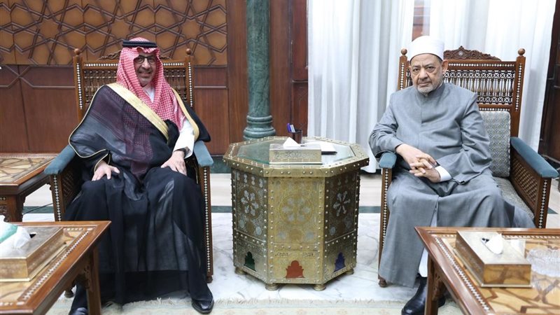 شيخ الأزهر خلال اللقاء 