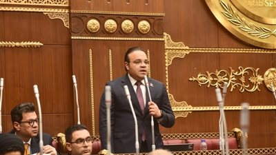 النائب محمد محسن يشدد على أهمية تطوير 