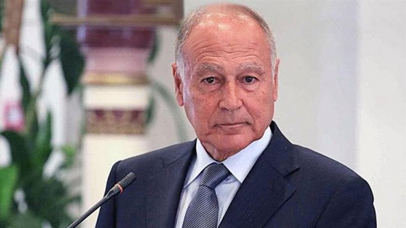 أبو الغيط