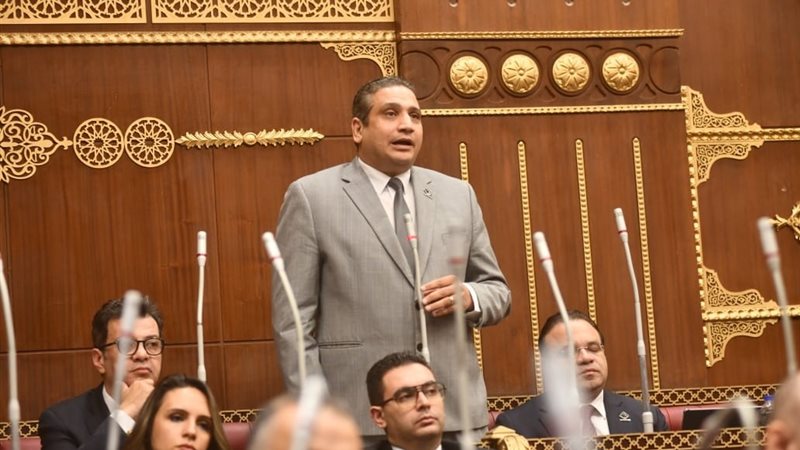  النائب عماد خليل