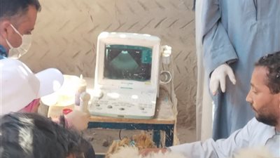 تسليم 216 رأس أغنام وماعز لـ100 أسرة بالفتح ومنفلوط لدعم مشروعات الثروة الحيوانية