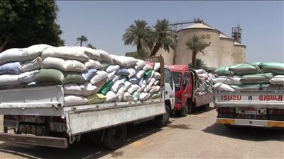 تسلم 132 ألف طن قمح واستبعاد 2066 طناً غير مطابقة للمواصفات بسوهاج 