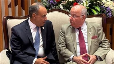وزير الخارجية يلتقي نظيره البرازيلي على هامش اجتماع وزراء خارجية البريكس 