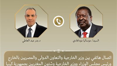 وزير الخارجية يتلقى اتصالا هاتفيا من نظيره الكيني لبحث العلاقات الثنائية