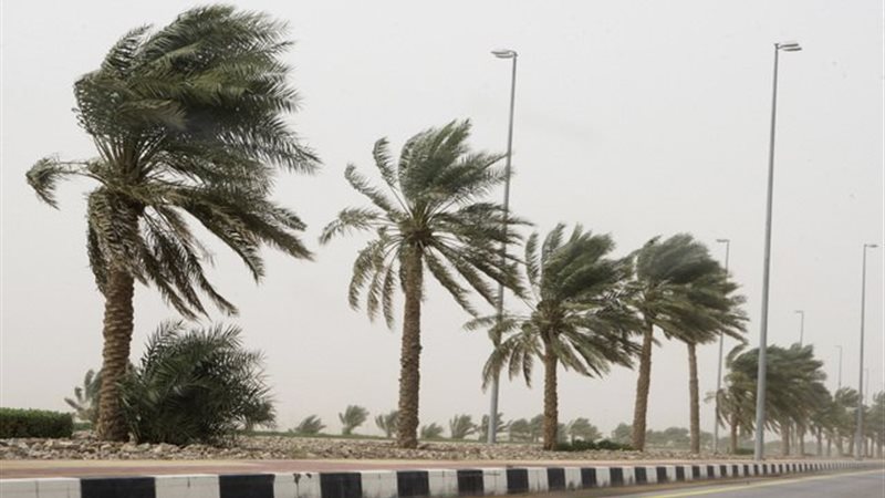نشاط رياح 
