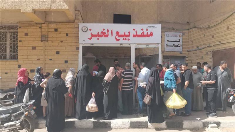 الدقهلية 