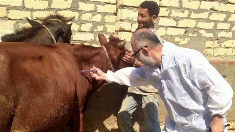 الهيئة العامة للخدمات البيطرية