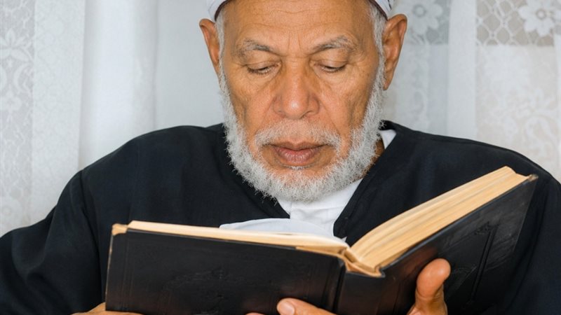 الشيخ عامر السيد عثمان 