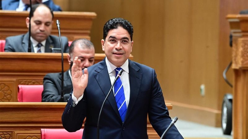 النائب ضياء الدين داوود، عضو مجلس النواب 