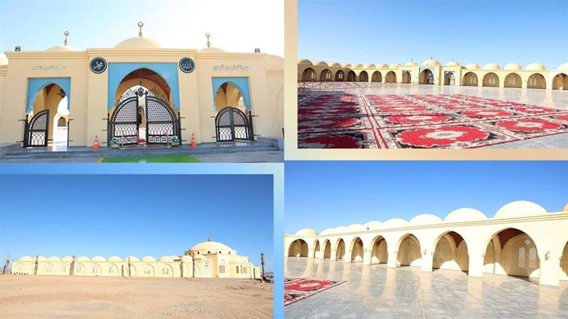 أرشيفية 
