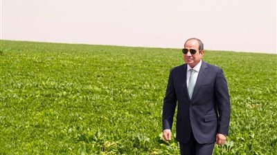 خطوة لتعزيز الأمن الغذائي.. ماذا يعني افتتاح الرئيس السيسي لمشروع «الدلتا الجديدة»؟