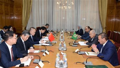 أبو الغيط يبحث مع مسئول صيني استمرار الدعم المتبادل بالقضايا المشتركة