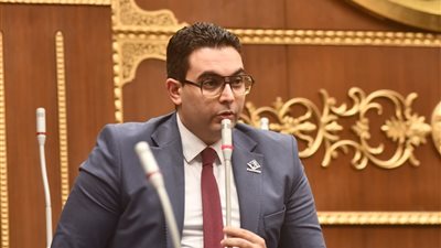 نائب بالشيوخ: حماية حقوق المبدعين ضرورة لدعم القوة الناعمة المصرية