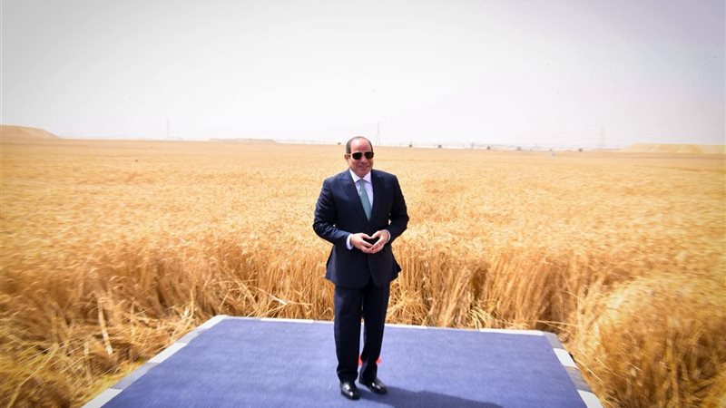 الرئيس السيسي