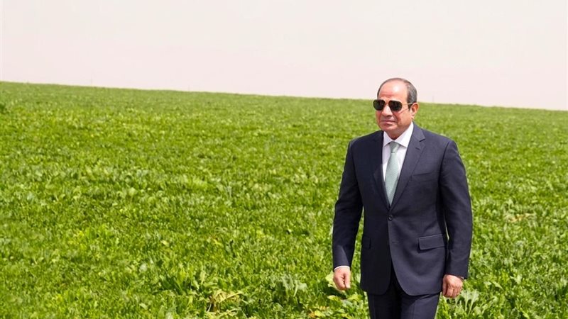 الرئيس عبد الفتاح السيسي 