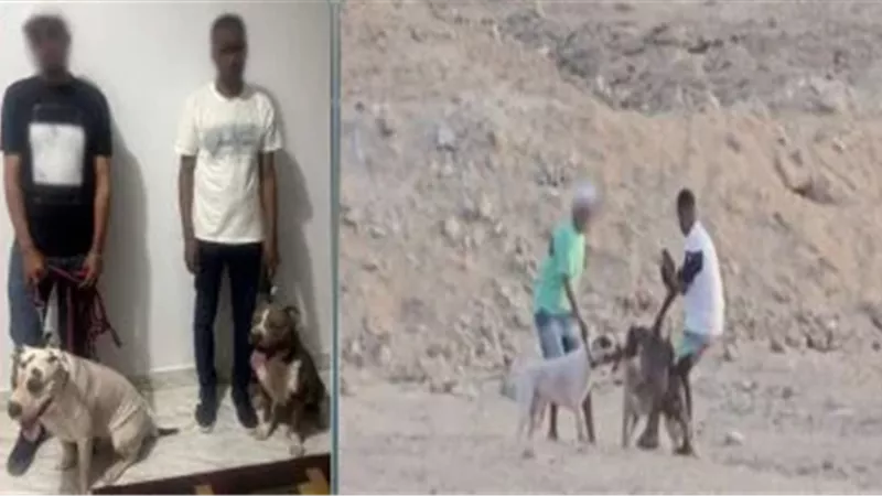 المتهمان عقب القبض عليهما