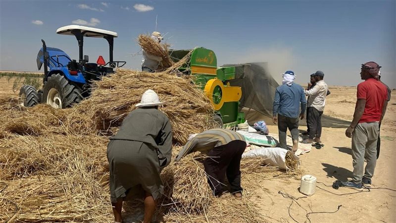 الزراعة 